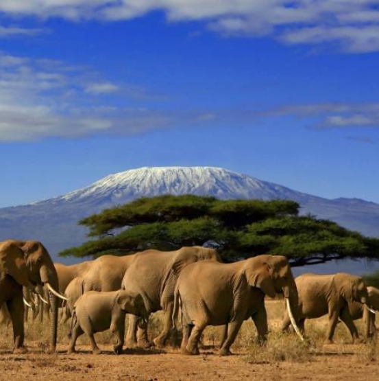 Visa Tanzania