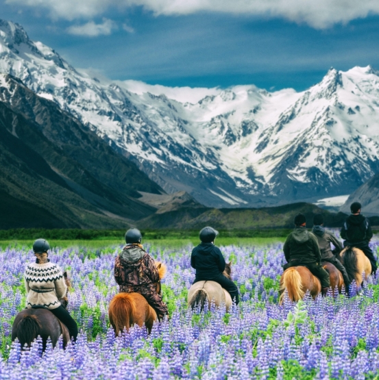 Visa New Zealand